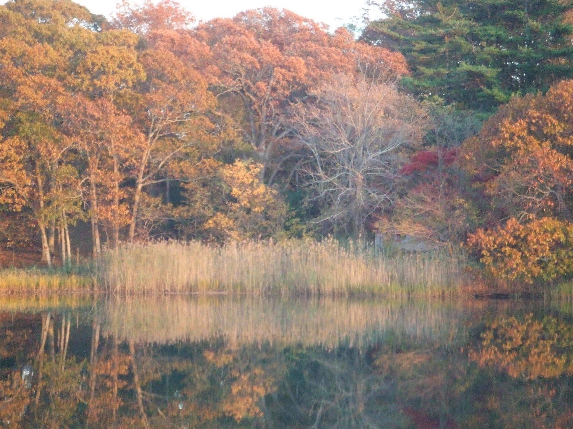 House On Chase Creek Bed & Breakfast Shelter Island Heights ภายนอก รูปภาพ